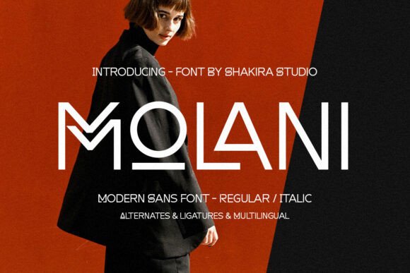 Molani: A Modern Sans Serif Display Font for Handmade Branding