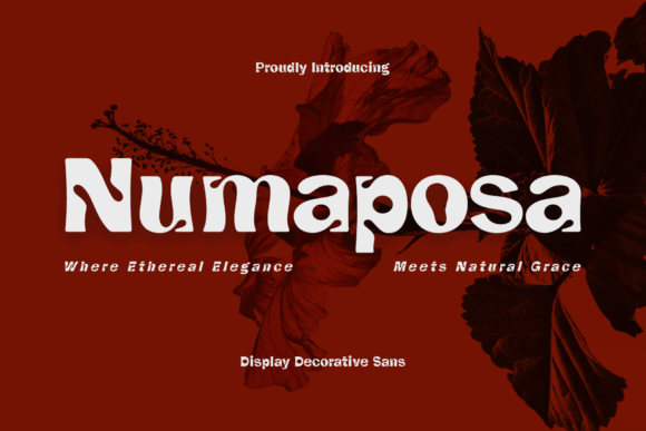 Numaposa: A Captivating Decorative Display Font for Modern Makers