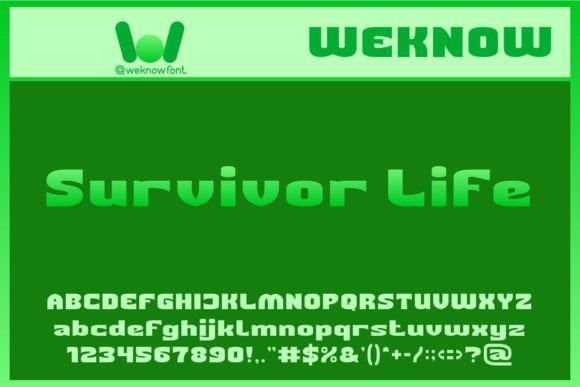 Survivor Life Typeface for Bold Handmade Branding