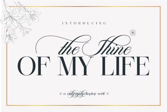 The Shine of My Life Typeface for High-Impact Campaign Design
